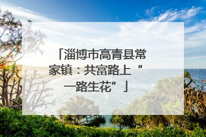 淄博市高青县常家镇：共富路上“一路生花”