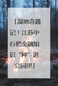 湿地奇遇记！江苏中行把金融知识“种”进公园里