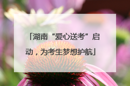 湖南“爱心送考”启动，为考生梦想护航