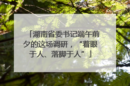 湖南省委书记端午前夕的这场调研，“着眼于人、落脚于人”