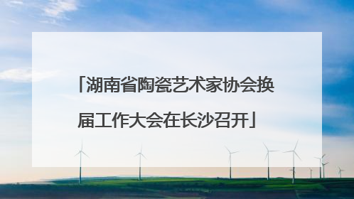 湖南省陶瓷艺术家协会换届工作大会在长沙召开