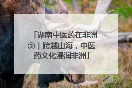 湖南中医药在非洲③｜跨越山海，中医药文化浸润非洲