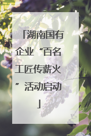 湖南国有企业“百名工匠传薪火”活动启动
