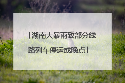 湖南大暴雨致部分线路列车停运或晚点