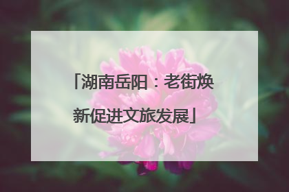 湖南岳阳：老街焕新促进文旅发展