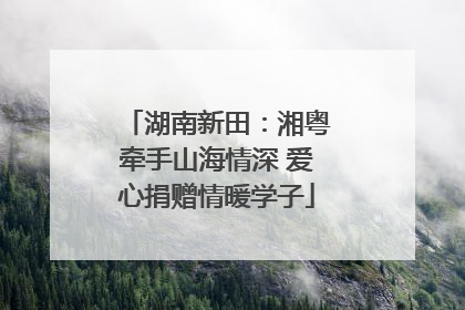 湖南新田：湘粤牵手山海情深 爱心捐赠情暖学子