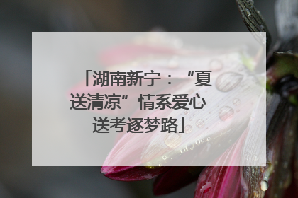湖南新宁：“夏送清凉”情系爱心送考逐梦路