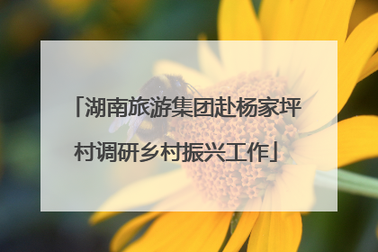 湖南旅游集团赴杨家坪村调研乡村振兴工作
