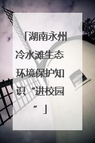 湖南永州冷水滩生态环境保护知识“进校园”