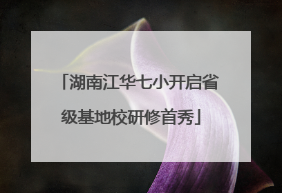 湖南江华七小开启省级基地校研修首秀
