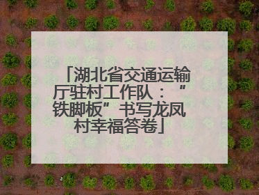 湖北省交通运输厅驻村工作队：“铁脚板”书写龙凤村幸福答卷