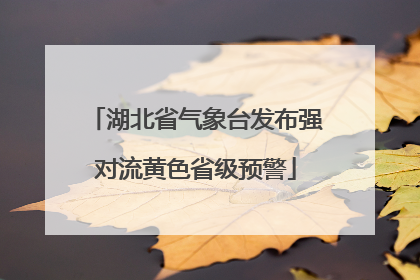 湖北省气象台发布强对流黄色省级预警