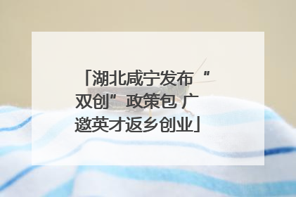 湖北咸宁发布“双创”政策包 广邀英才返乡创业