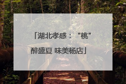 湖北孝感：“桃”醉盛夏 味美杨店