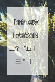 湘酒观察丨武陵酒的三个“五十三 ”