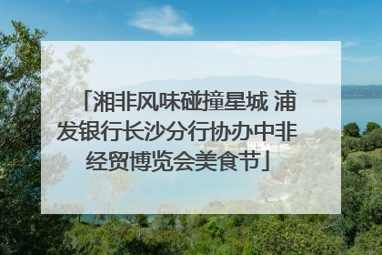 湘非风味碰撞星城 浦发银行长沙分行协办中非经贸博览会美食节