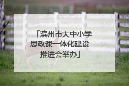 滨州市大中小学思政课一体化建设推进会举办