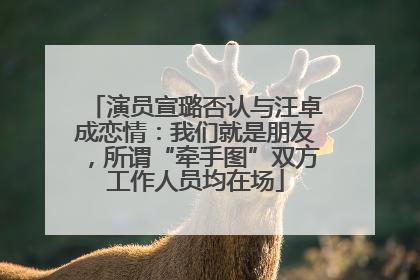 演员宣璐否认与汪卓成恋情：我们就是朋友，所谓“牵手图”双方工作人员均在场