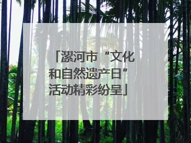 漯河市“文化和自然遗产日”活动精彩纷呈
