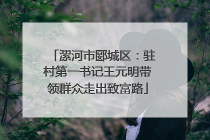 漯河市郾城区：驻村第一书记王元明带领群众走出致富路