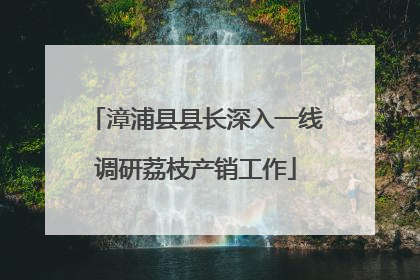 漳浦县县长深入一线调研荔枝产销工作