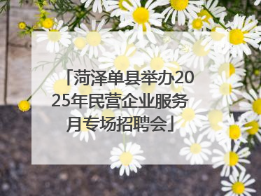 菏泽单县举办2025年民营企业服务月专场招聘会