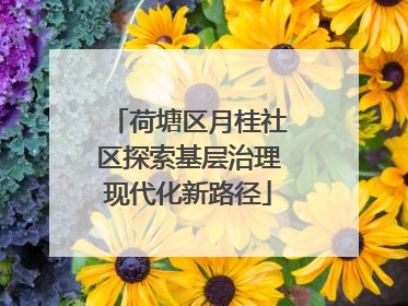 荷塘区月桂社区探索基层治理现代化新路径