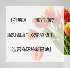 荷塘区：“骑行速度+服务温度”双轮驱动 打造营商环境新高地