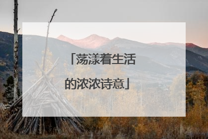 荡漾着生活的浓浓诗意
