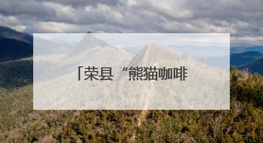 荣县“熊猫咖啡杯”获四川特色旅游商品大赛铜奖