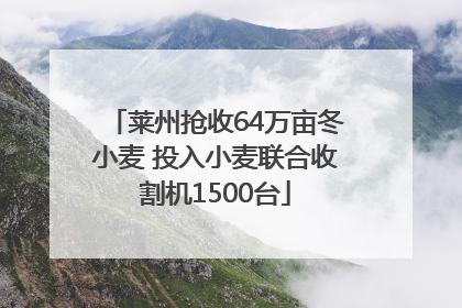 莱州抢收64万亩冬小麦 投入小麦联合收割机1500台
