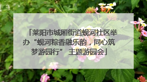 莱阳市城厢街道蚬河社区举办“蚬河粽香融乐韵，同心筑梦游园行” 主题游园会