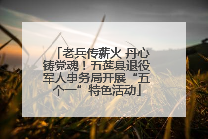 老兵传薪火 丹心铸党魂！五莲县退役军人事务局开展“五个一”特色活动