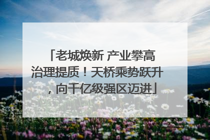 老城焕新 产业攀高 治理提质！天桥乘势跃升，向千亿级强区迈进