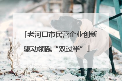 老河口市民营企业创新驱动领跑“双过半”