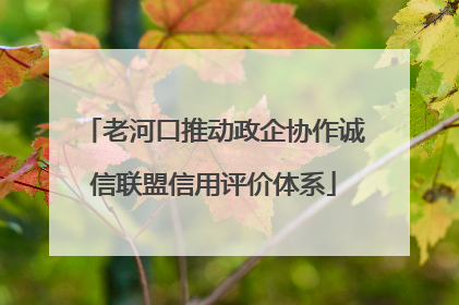 老河口推动政企协作诚信联盟信用评价体系