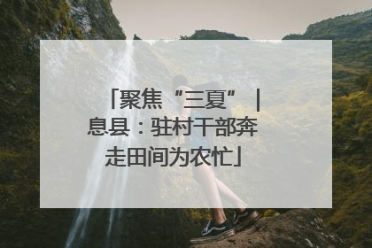 聚焦“三夏”｜息县：驻村干部奔走田间为农忙