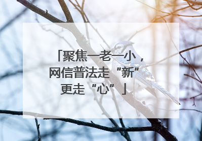 聚焦一老一小，网信普法走“新”更走“心”