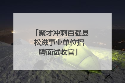 聚才冲刺百强县 松滋事业单位招聘面试收官