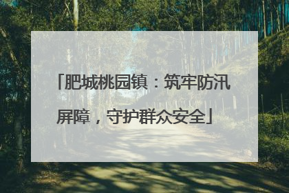 肥城桃园镇：筑牢防汛屏障，守护群众安全