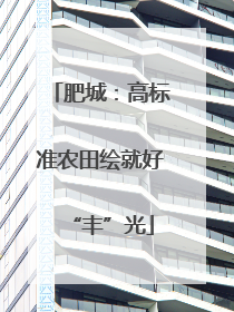 肥城：高标准农田绘就好“丰”光