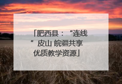 肥西县：“连线”皮山 皖疆共享优质教学资源