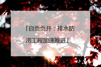 自贡贡井：排水防涝工程加速推进