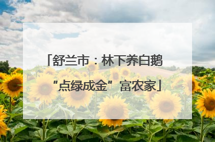 舒兰市：林下养白鹅 “点绿成金”富农家