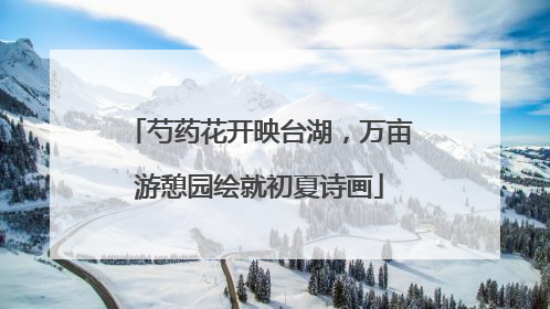 芍药花开映台湖，万亩游憩园绘就初夏诗画
