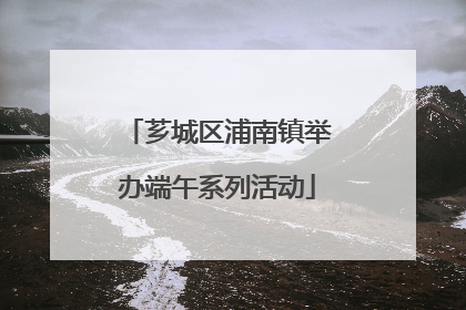 芗城区浦南镇举办端午系列活动