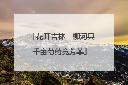 花开吉林｜柳河县千亩芍药竞芳菲