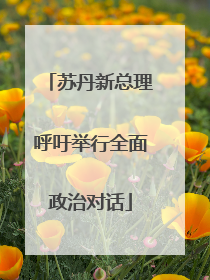 苏丹新总理呼吁举行全面政治对话