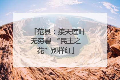 范县：接天莲叶无穷碧 “民主之花”别样红