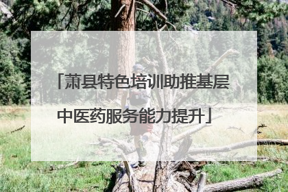 萧县特色培训助推基层中医药服务能力提升